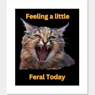 Feeling a little Feral Today Posters and Art